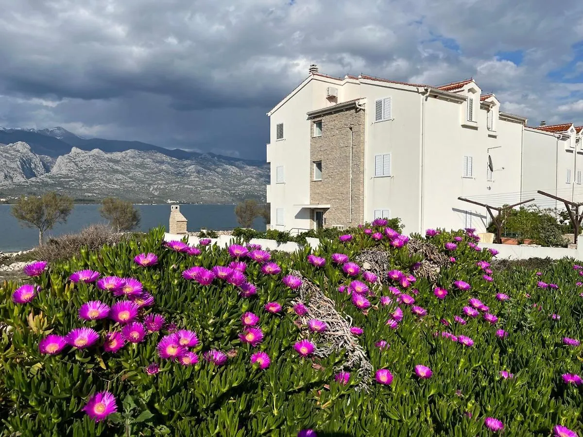 Luxury Apartment Julie Vinjerac Hırvatistan